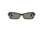 NILA: Tiny Acetato Noir sunglasses by GIGI STUDIOS 13594