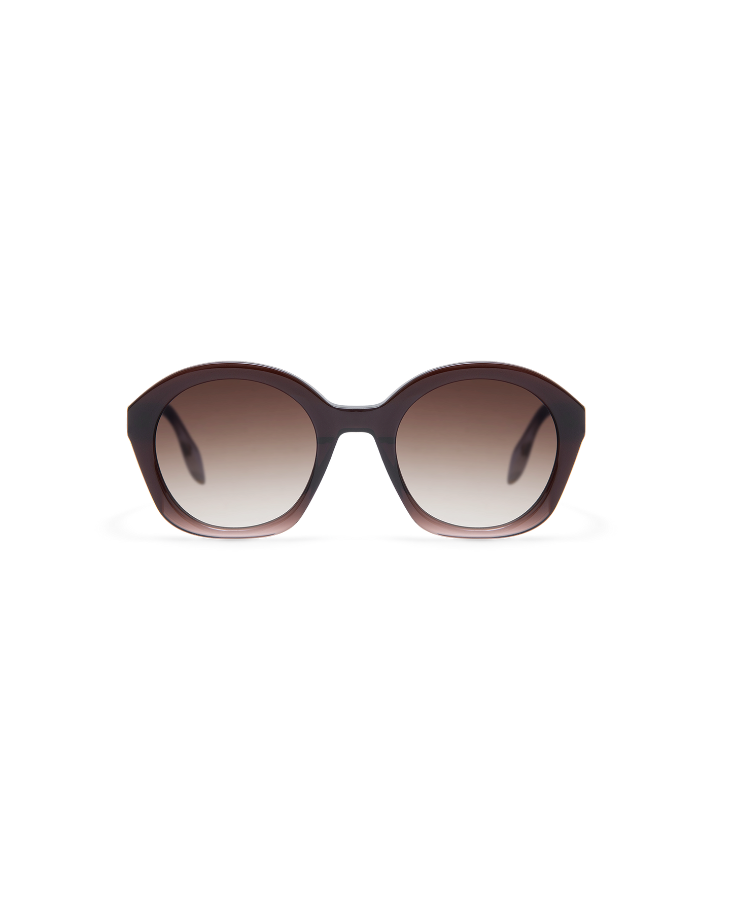 ARLEA: Redondas Acetato Marrón sunglasses by GIGI STUDIOS 13610