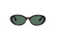 ORIA: Ovaladas Acetato Havana sunglasses by GIGI STUDIOS 13626