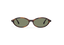 MILLY: Tiny Acetato Havana sunglasses by GIGI STUDIOS 13669
