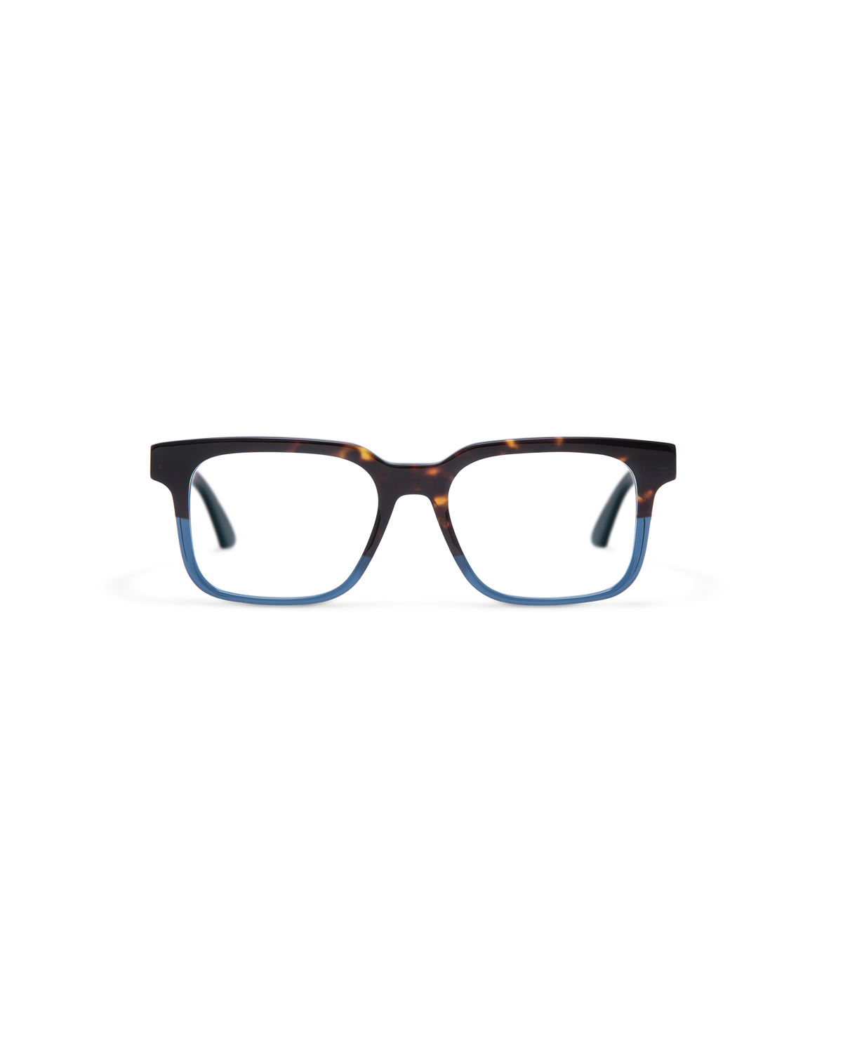 PIER: Rectangular Acetato Havana optical glasses by GIGI STUDIOS 13679