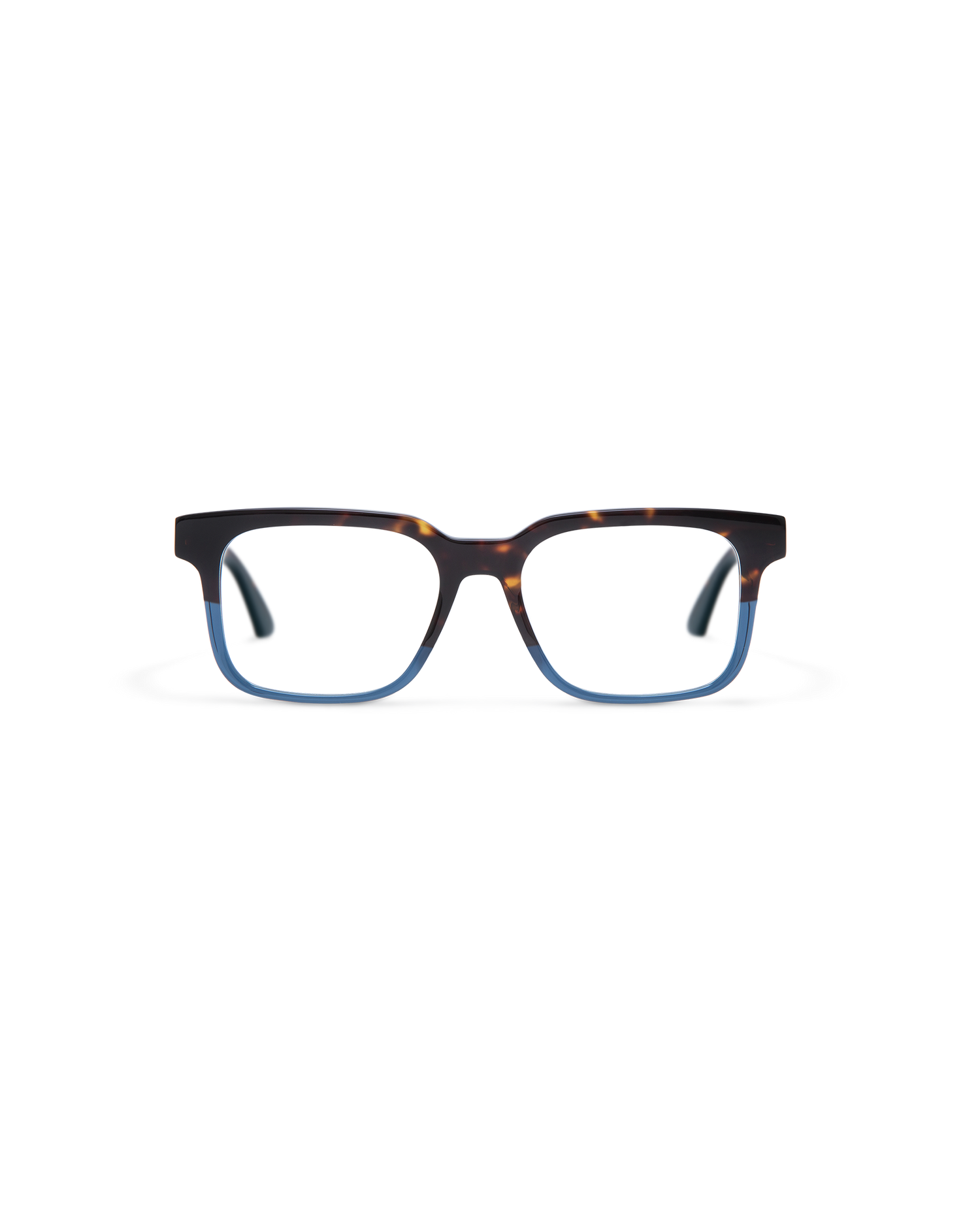 PIER: Rectangular Acetato Havana optical glasses by GIGI STUDIOS 13679