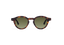 HARING: Redondas Acetato Havana sunglasses by GIGI STUDIOS 13693