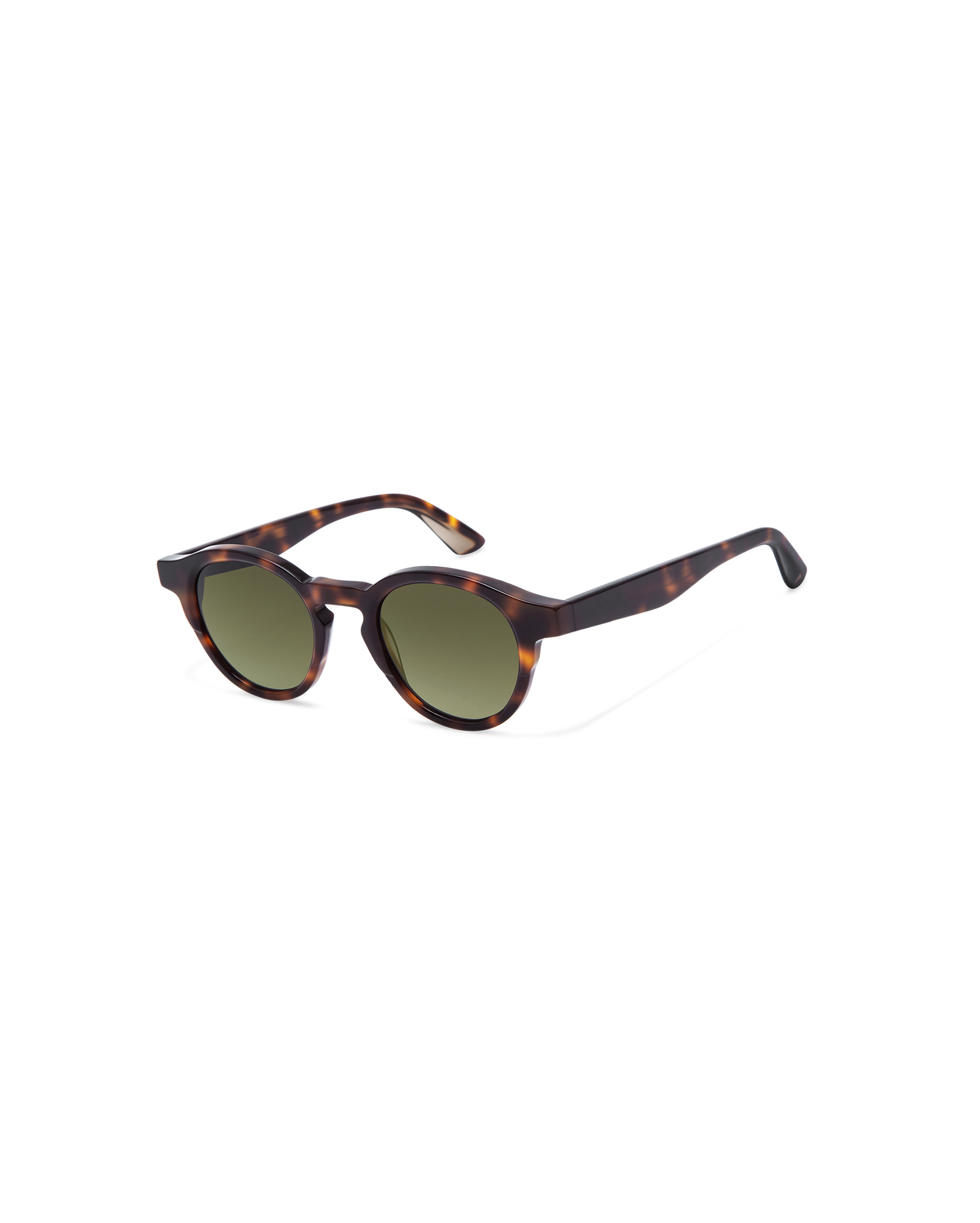 HARING: Redondas Acetato Havana sunglasses by GIGI STUDIOS 13694