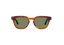 ANSEL: Cuadrada Acetato Havana sunglasses by GIGI STUDIOS 14307