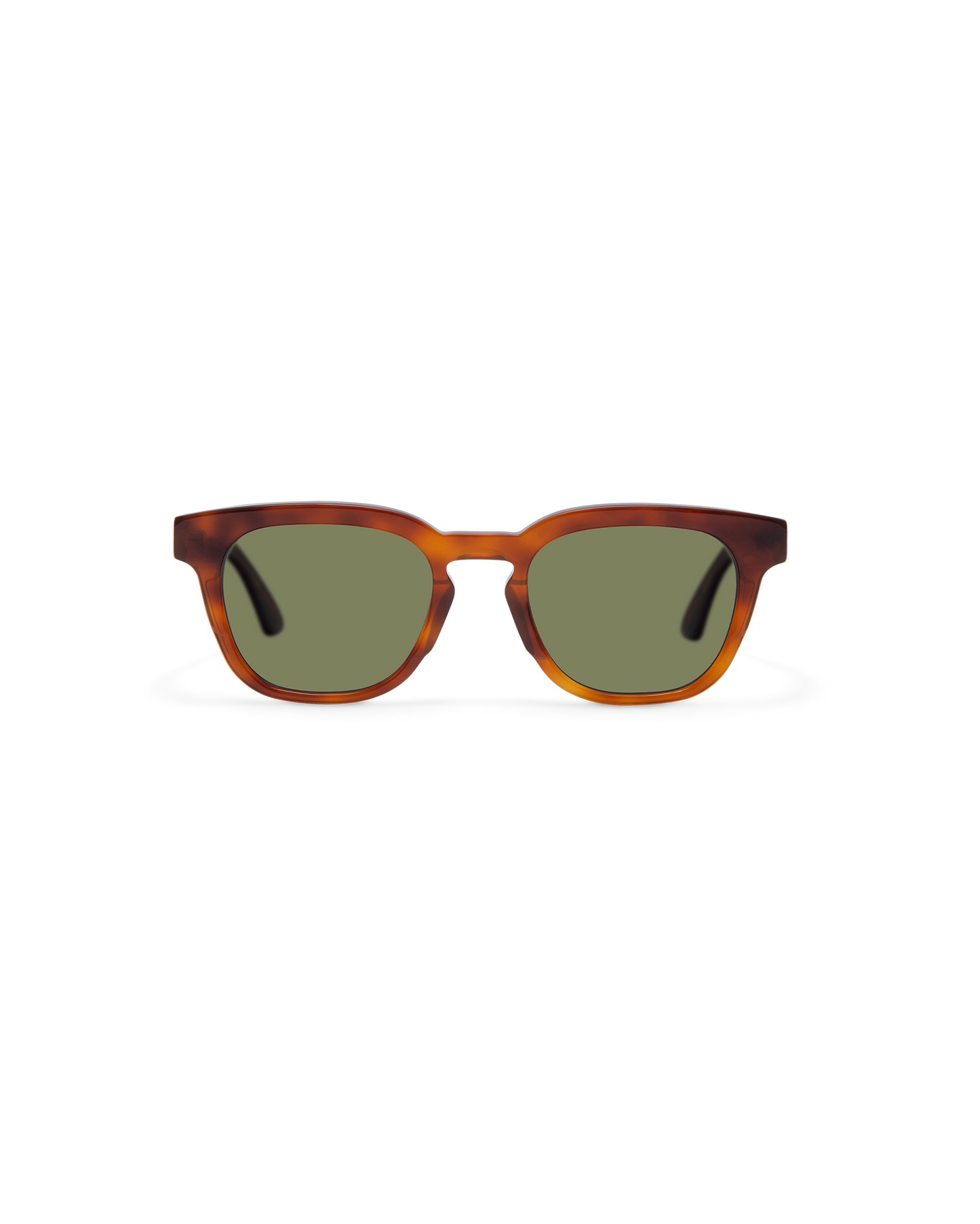 ANSEL: Cuadrada Acetato Havana sunglasses by GIGI STUDIOS 14307