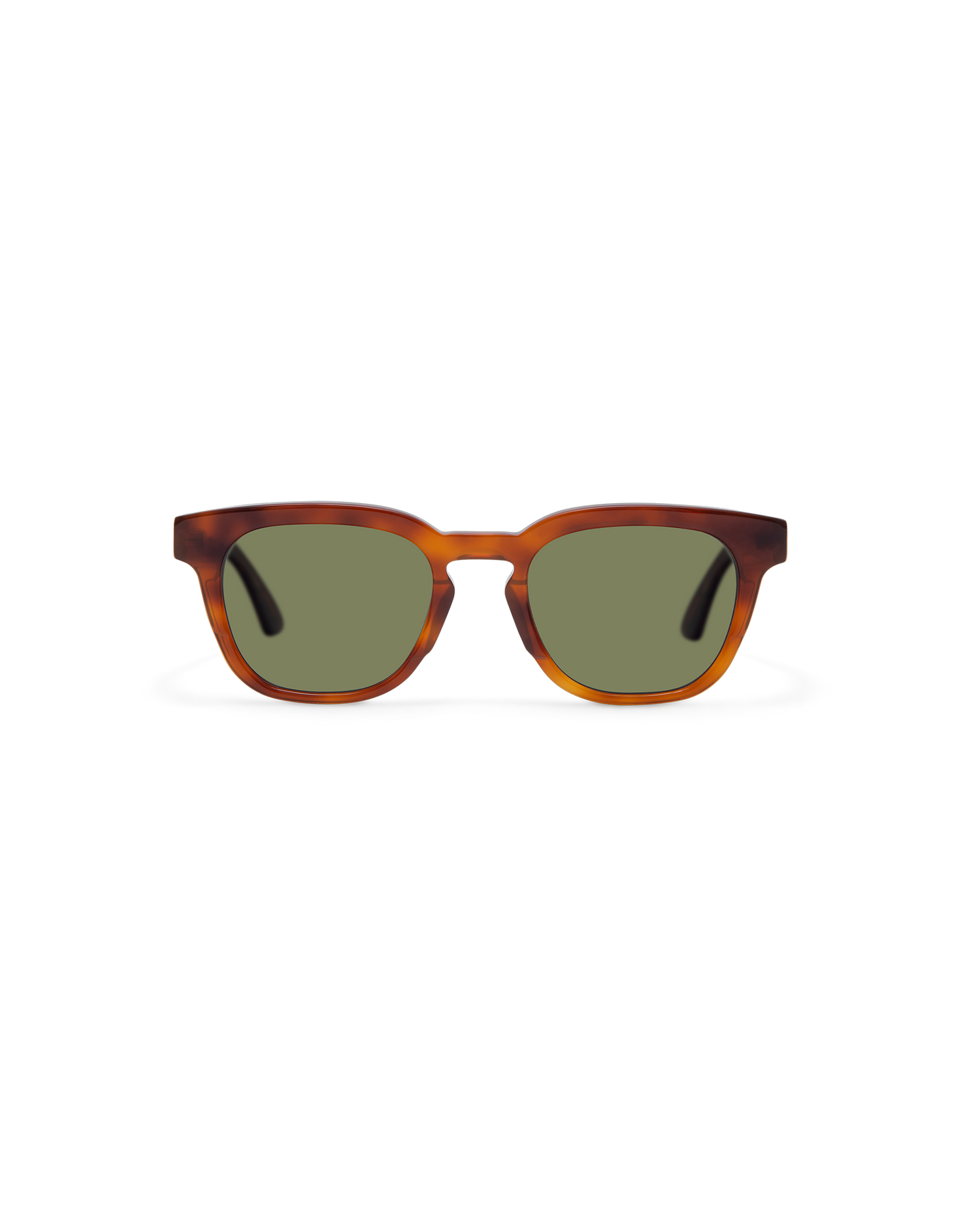ANSEL: Cuadrada Acetato Havana sunglasses by GIGI STUDIOS 14307