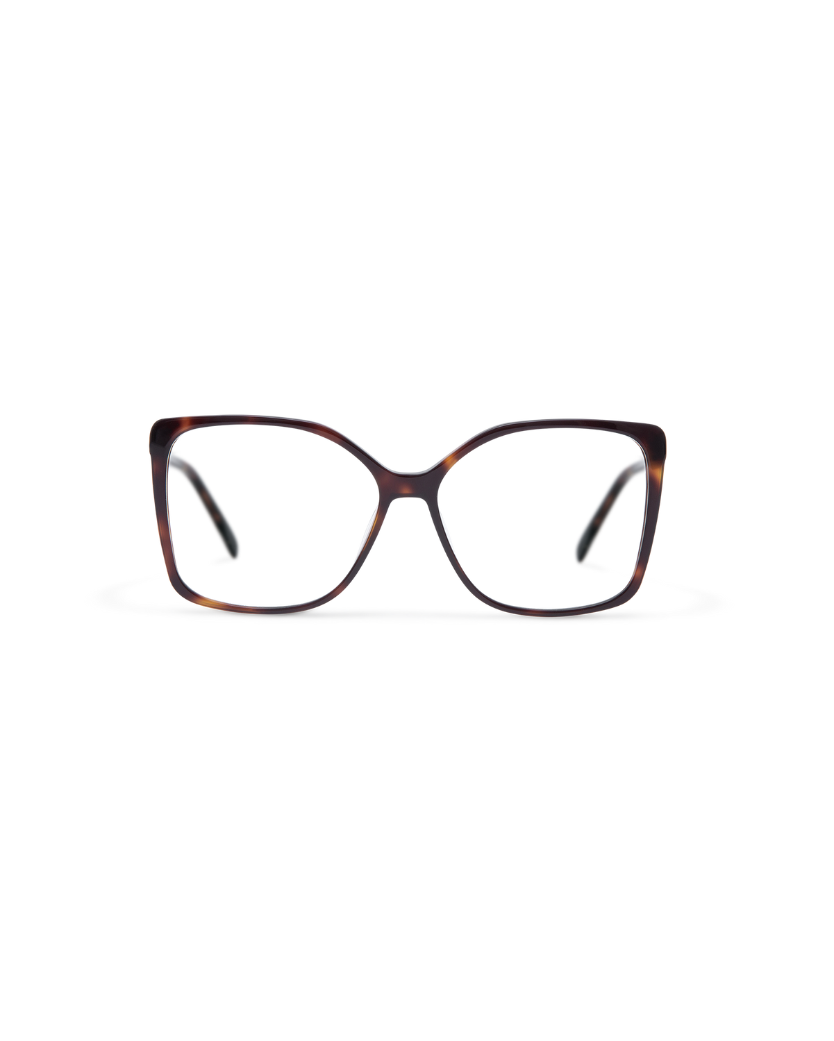 AERI: Cat Eye Acetato Havana optical glasses by GIGI STUDIOS 13739