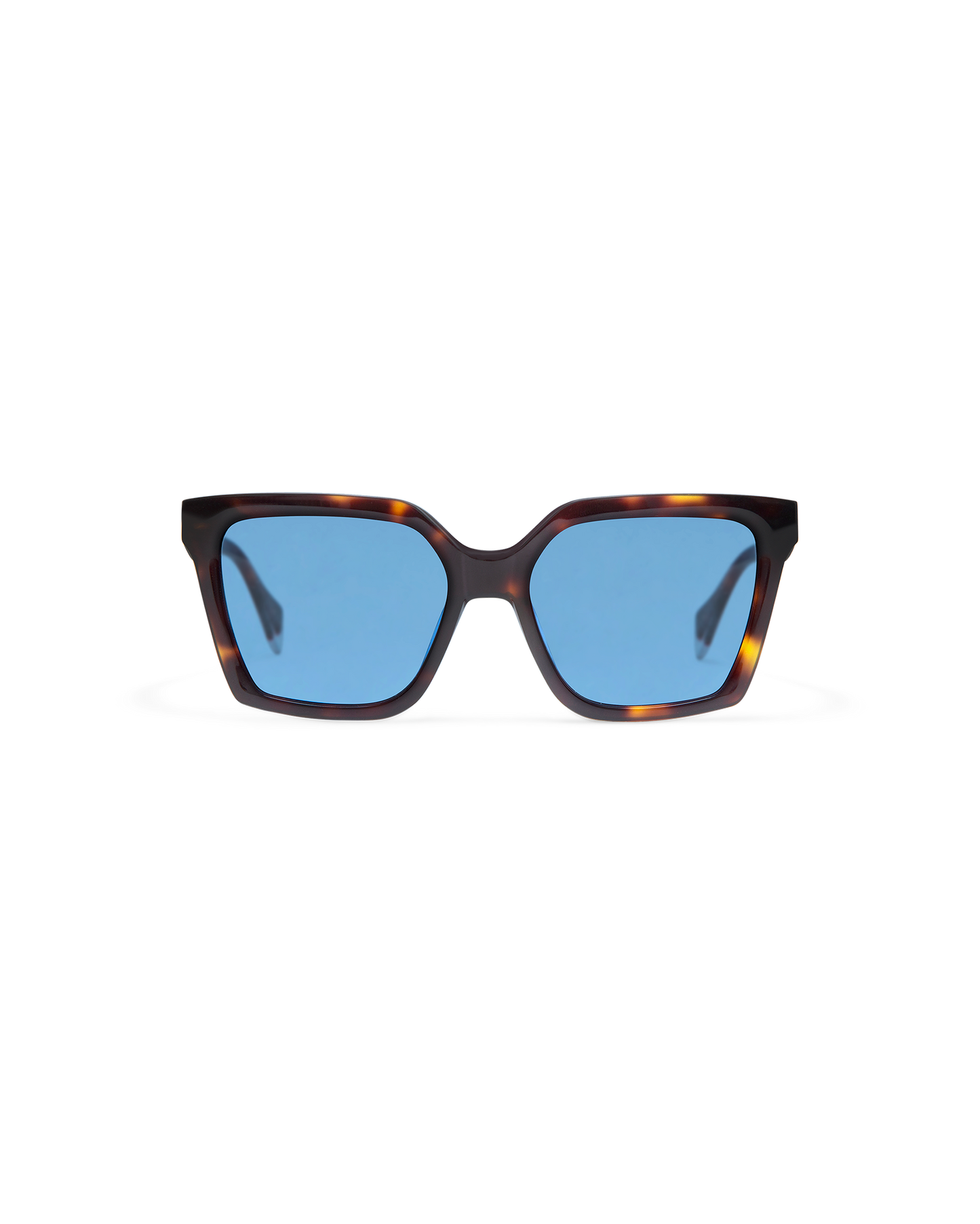 GS9013_02S_BRIAR_2