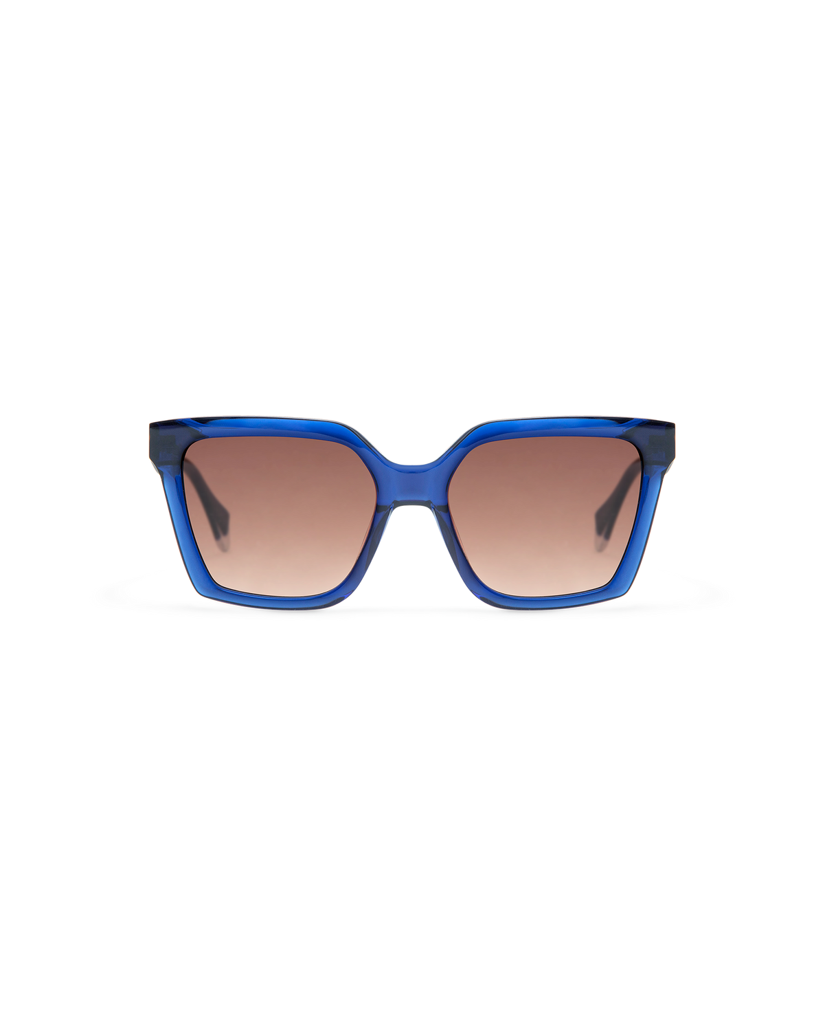 GS9013_03S_BRIAR_2