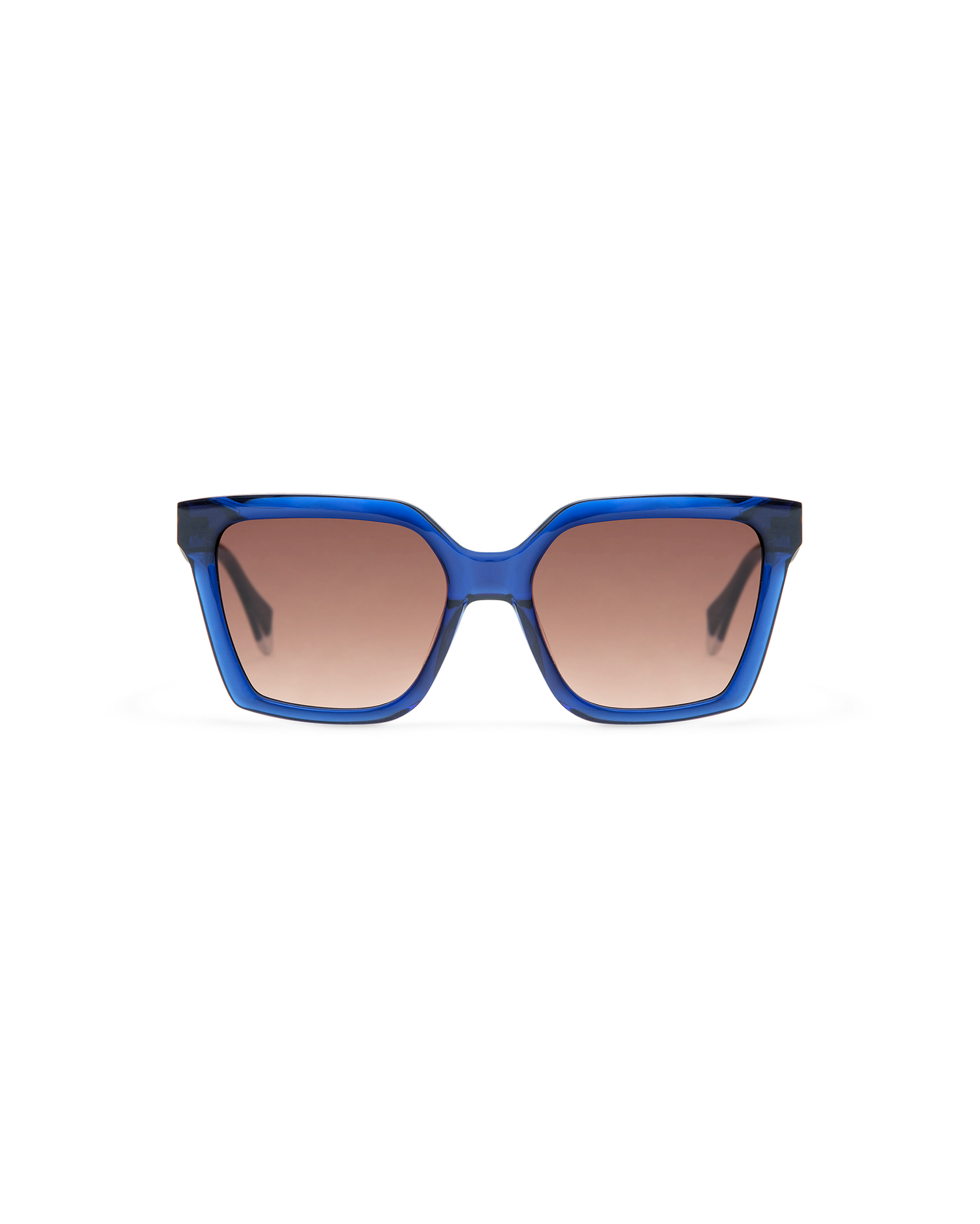 GS9013_03S_BRIAR_2