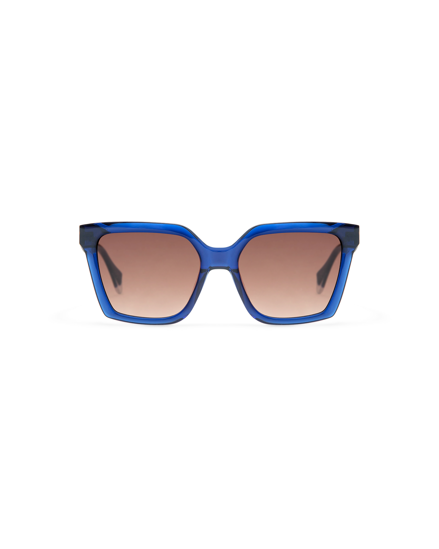 GS9013_03S_BRIAR_2