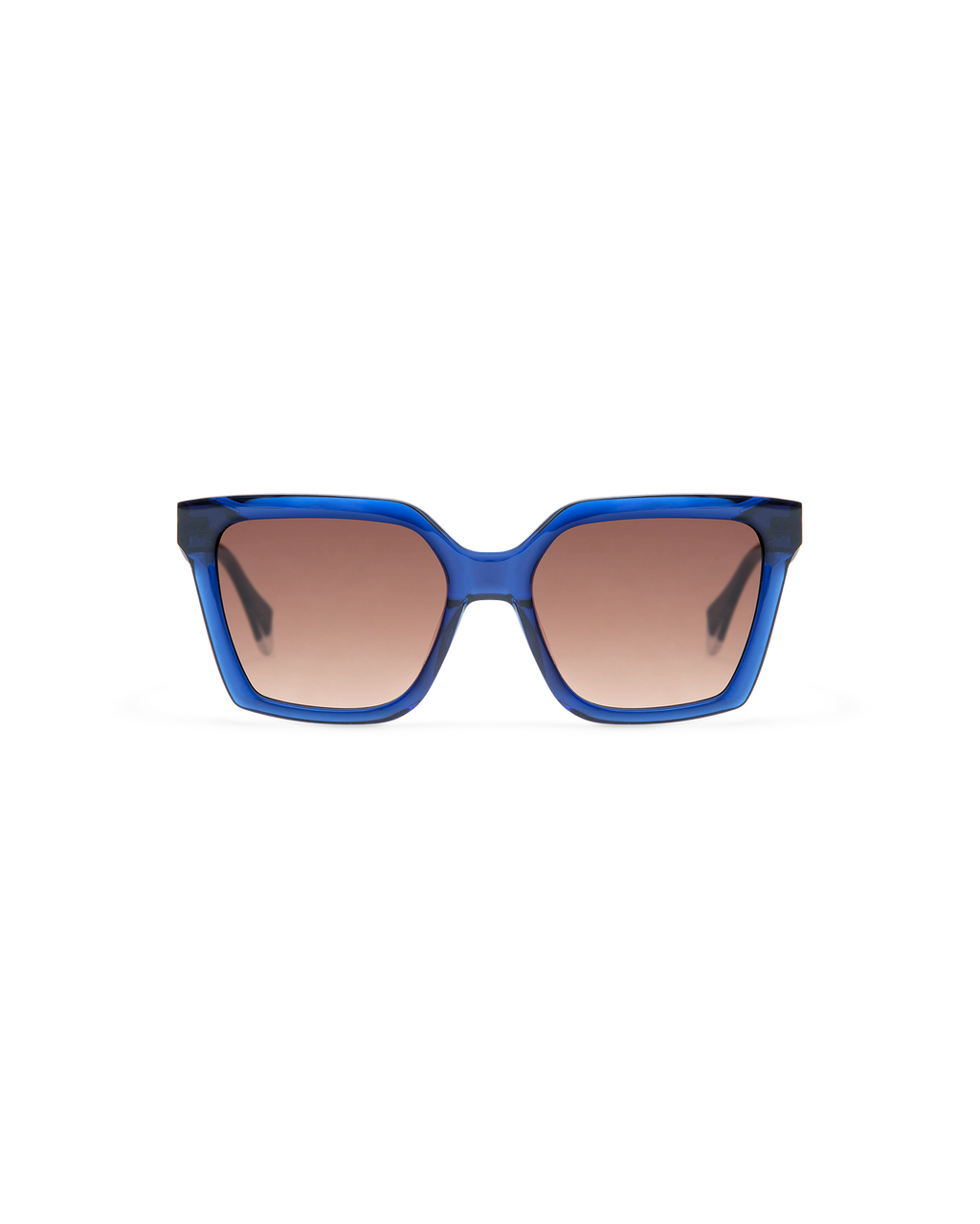 BRIAR: Cat Eye Acetato Azul sunglasses by GIGI STUDIOS 8487
