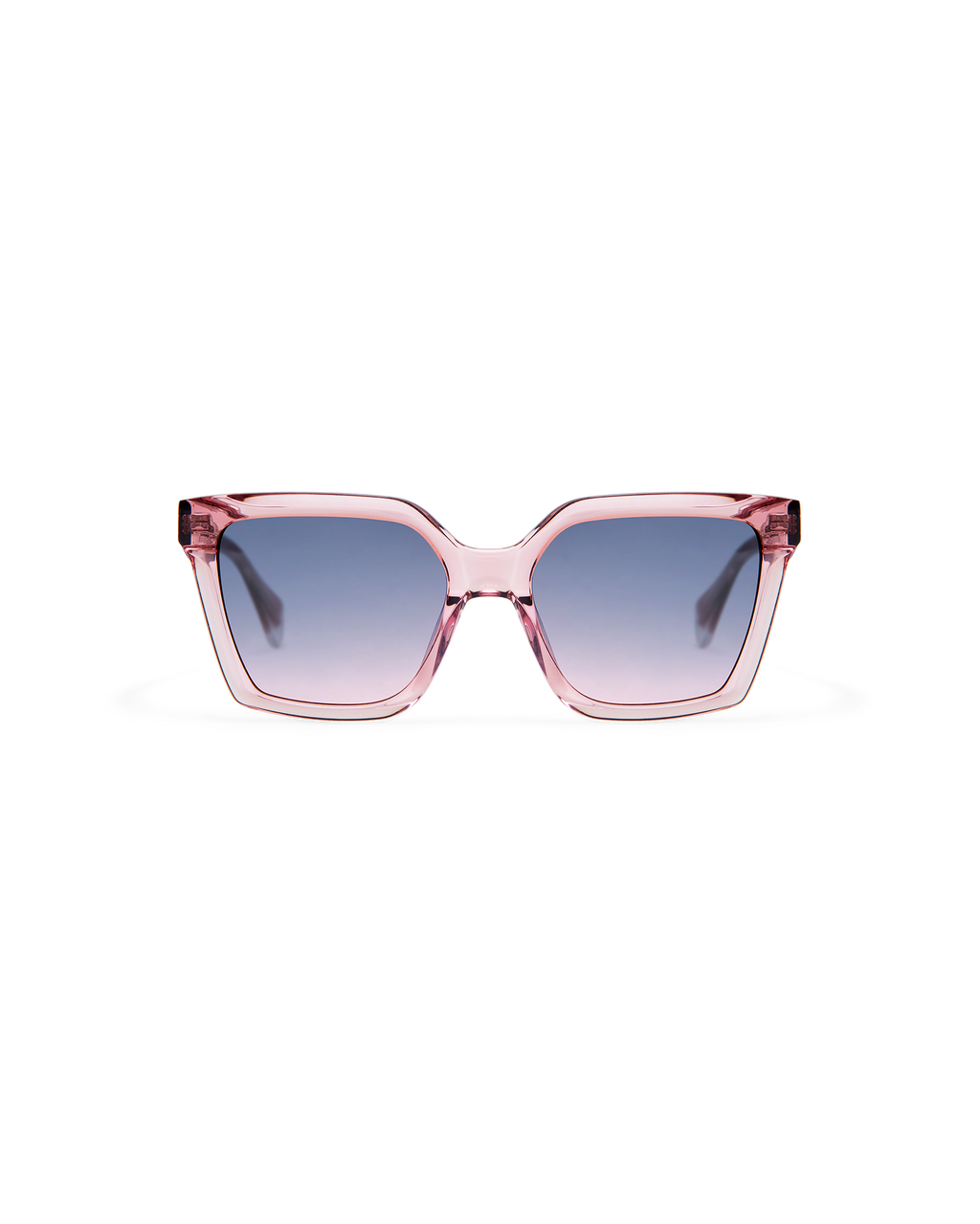 GS9013_06S_BRIAR_2