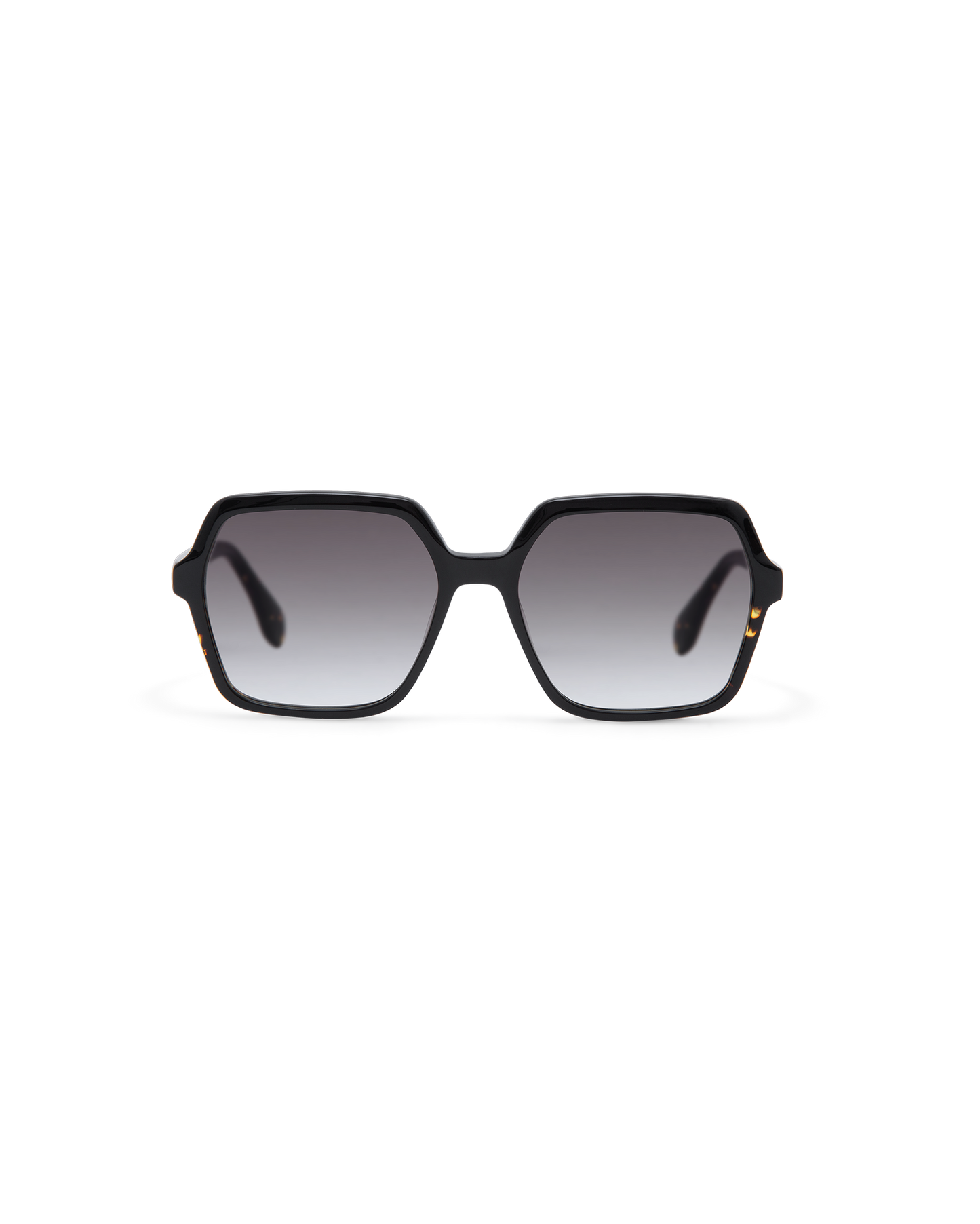 LIE: Cuadrada Acetato Noir sunglasses by GIGI STUDIOS 13803
