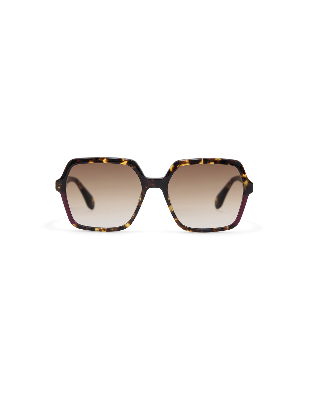LIE: Cuadrada Acetato Havana sunglasses by GIGI STUDIOS 13805