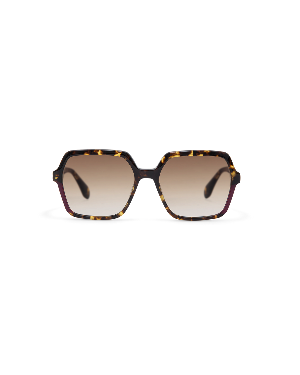 LIE: Cuadrada Acetato Havana sunglasses by GIGI STUDIOS 13805