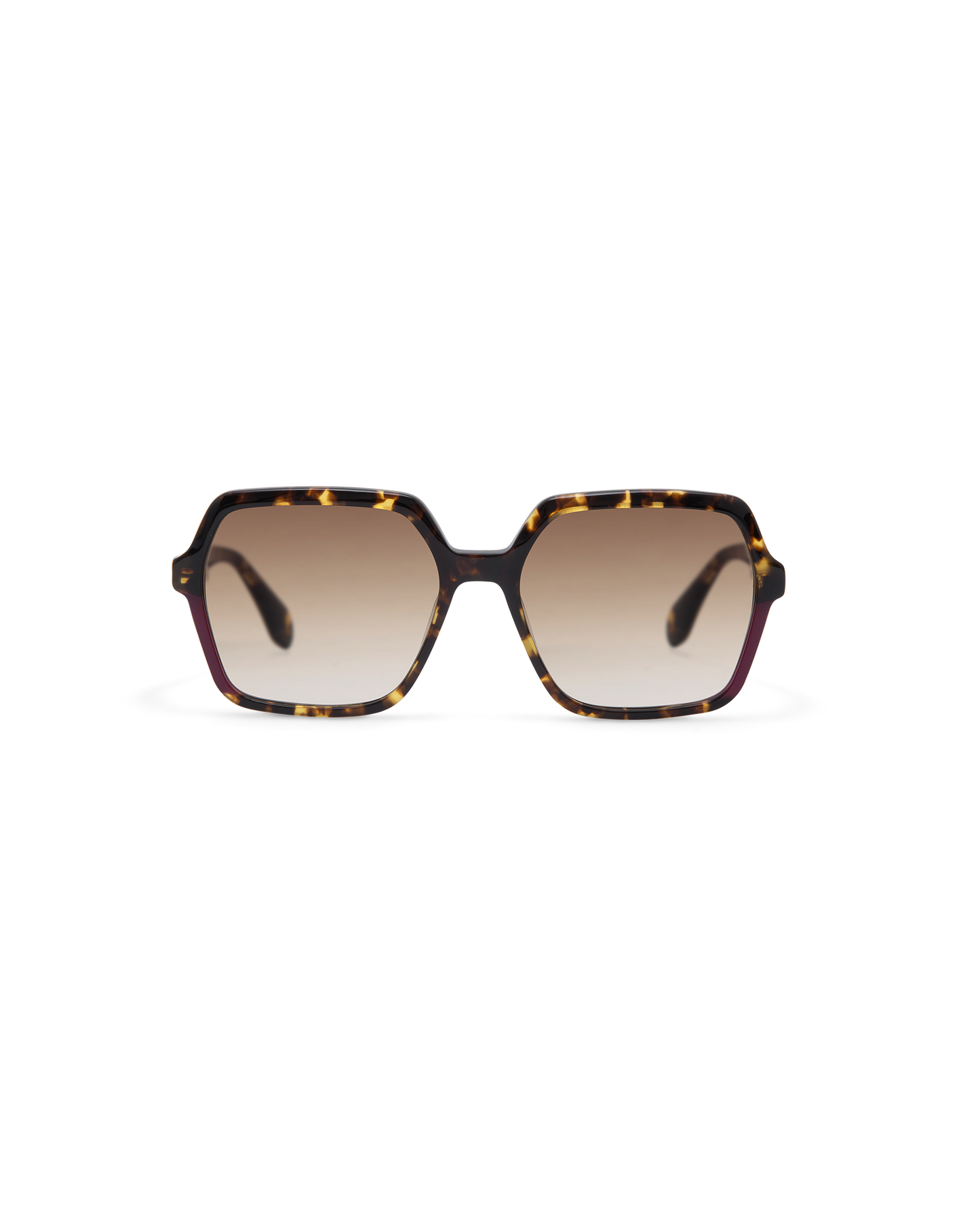 LIE: Cuadrada Acetato Havana sunglasses by GIGI STUDIOS 13805