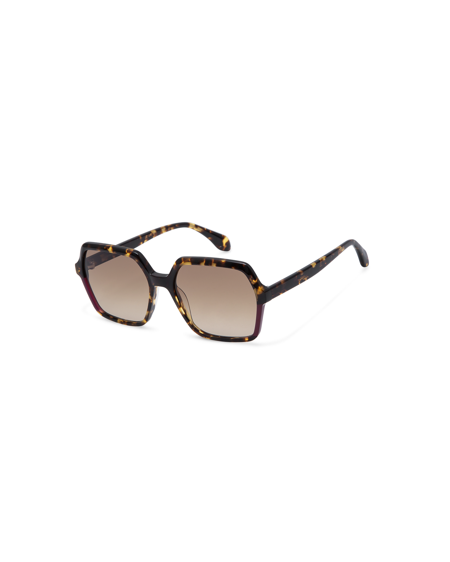LIE: Cuadrada Acetato Havana sunglasses by GIGI STUDIOS 13806