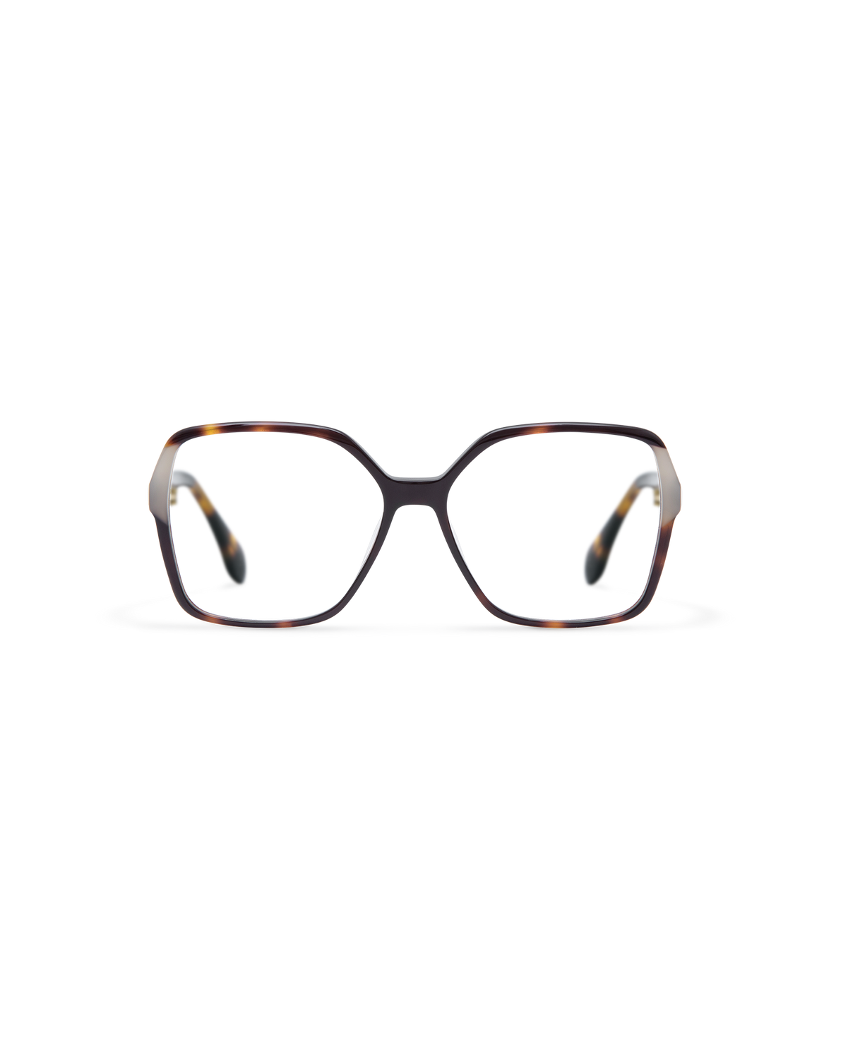 SEN: Cuadrada Acetato Havana optical glasses by GIGI STUDIOS 13821