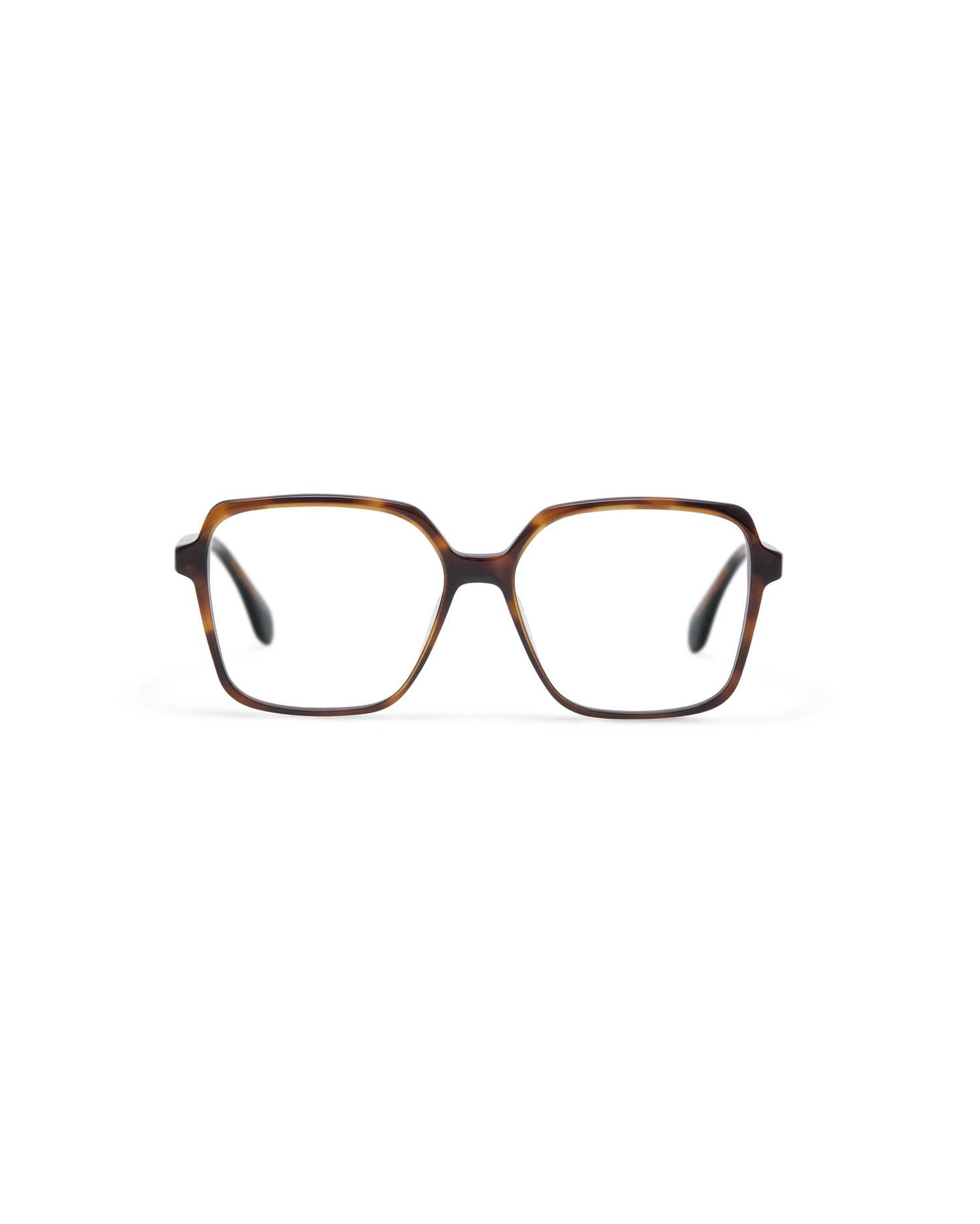 NEL: Cuadrada Acetato Havana optical glasses by GIGI STUDIOS 13829